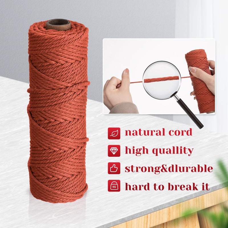 Nuanchu 6 Rolls Macrame Cord 3mm x 328 Yards Cotton Rope Colored Yarn Twine Set for DIY Wall Plant Hanger Crafts Knitting Making Supplies, 6 Colors(Soft Colors) - Image 4
