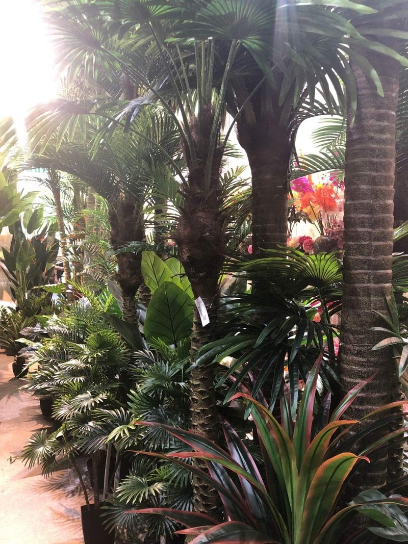 AMERIQUE Gorgeous 7 Tropical Bird of Paradise Tree with Flowers Artificial Silk Plant with UV Protection with Nursery Plastic Pot Feel Real Technology - Image 4