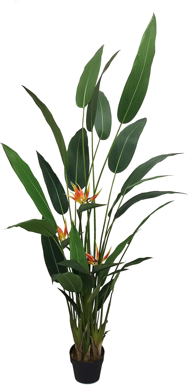 AMERIQUE Gorgeous 7 Tropical Bird of Paradise Tree with Flowers Artificial Silk Plant with UV Protection with Nursery Plastic Pot Feel Real Technology - Image 1