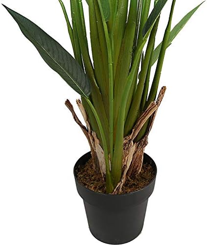 AMERIQUE Gorgeous 7 Tropical Bird of Paradise Tree with Flowers Artificial Silk Plant with UV Protection with Nursery Plastic Pot Feel Real Technology - Image 3