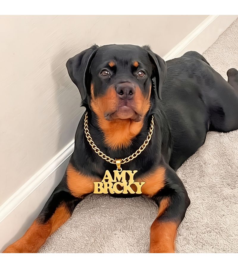 قلادة هوية كلب بحرف ثلاثي الأبعاد مخصصة، لون ذهبي ونحاسي، سلسلة كوبية سوداء مقاس 7 مم، بطاقة تعريفية للحيوانات الأليفة - Image 4