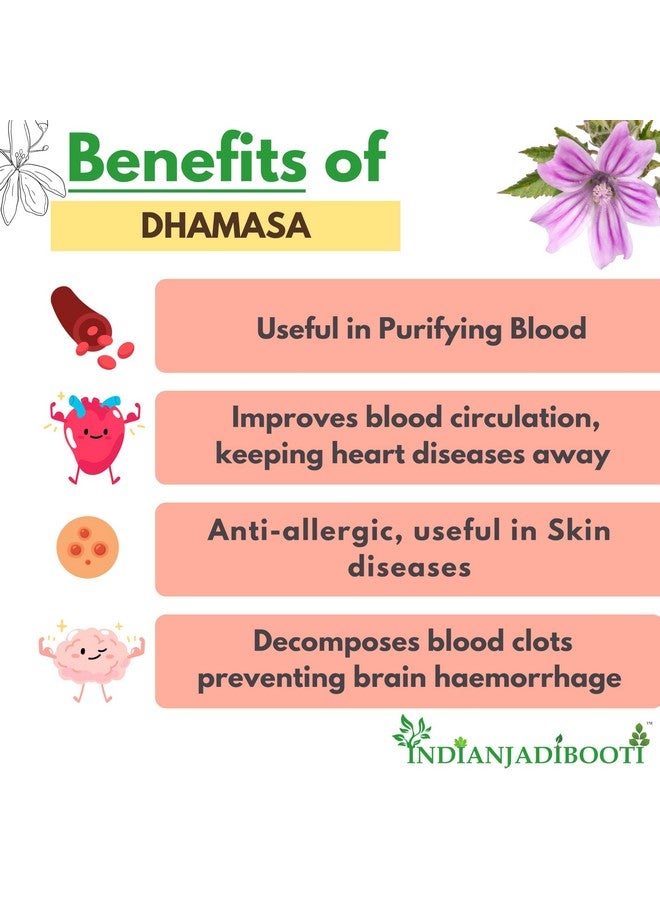 Generic IndianJadiBooti Dhamasa - Damasha - Dhamasha - Dhamaasa - Desert Fagonia, 250 Grams  - Image 3