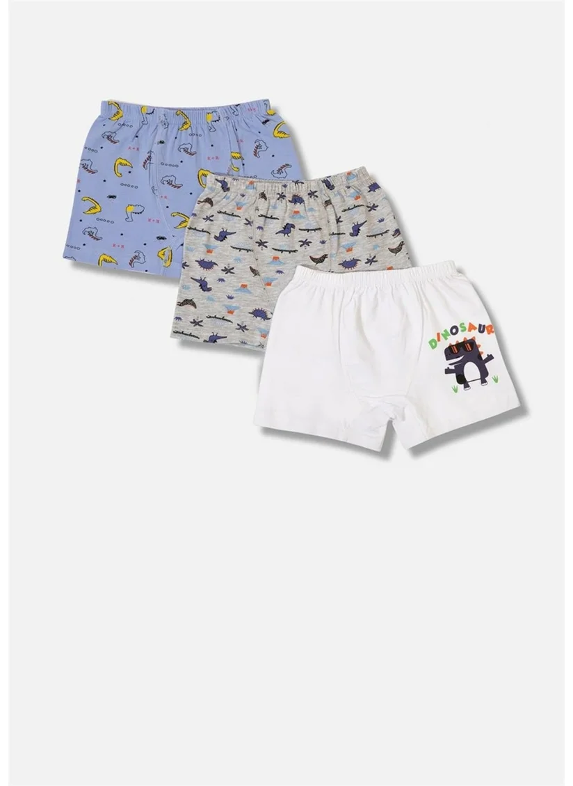 Defne Dinosaur Pattern Printed Assorted Combed Elastane Boy 3-Piece Boxer Set