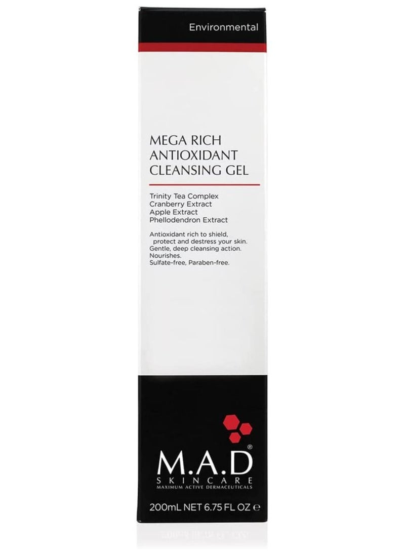 Mega Rich Antioxidant Facial Cleansing Gel - pzsku/ZC120E57D6AFE55350F4FZ/45/_/1684242424/301088f7-74c0-4a25-8b26-5068bb800c60