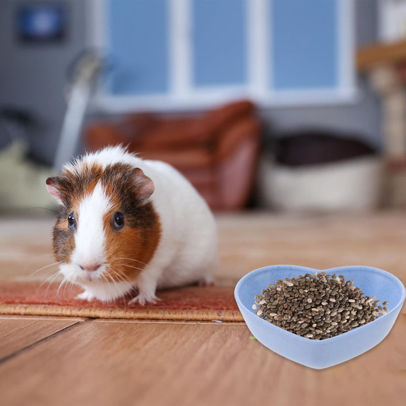 Trinkrittey 3 Pack Hamster Food Bowl Rabbit Guinea Pig Food Dish Cute Heart Shape Water Dish for Hamster Hedgehog Gerbil Small Animals Rat Rodent (Green, Blue and Pink) - Image 5