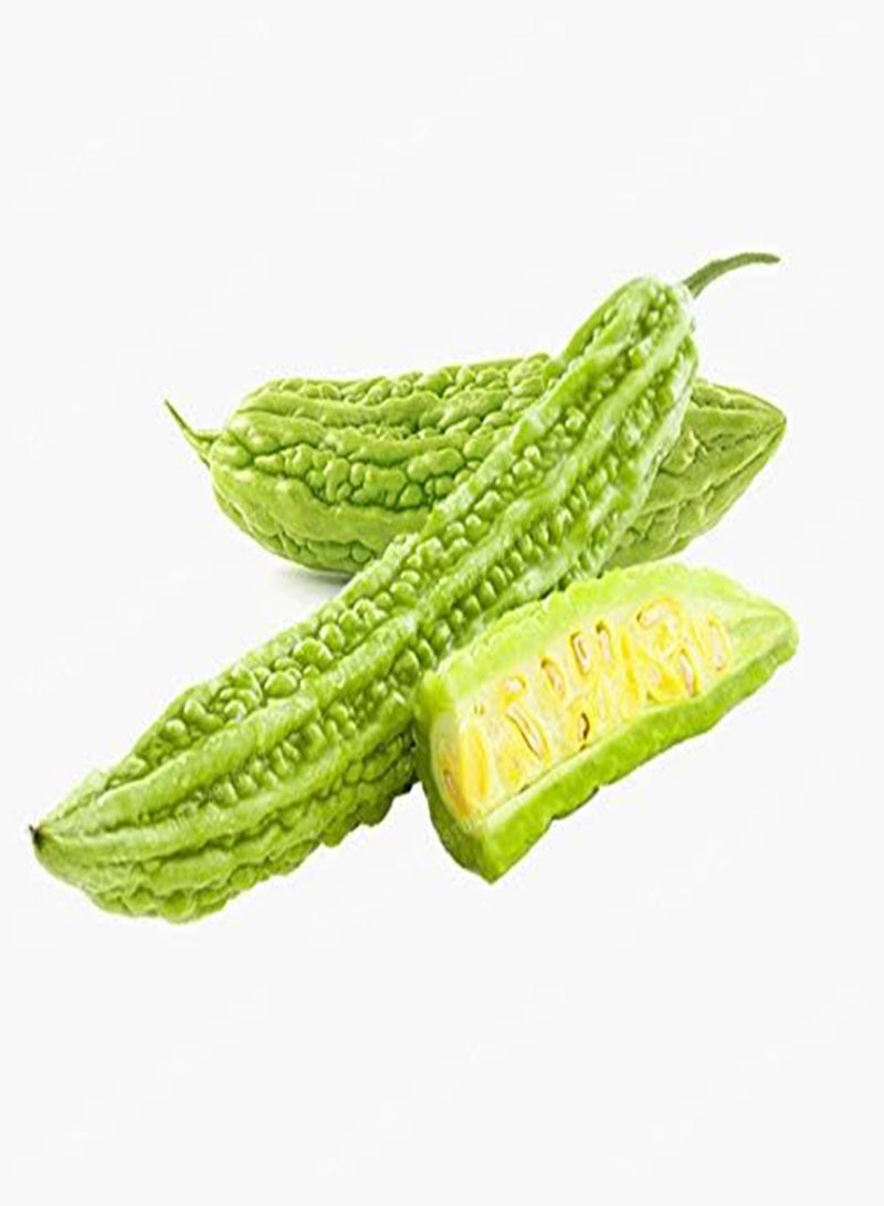 GGOOT 10 Pcs Momordica Charantia Seed Organic Vegetable Seed Bitter Gourd Balsam Apple Bitter Herbs Family Garden - (Color: Mix)  - Image 3