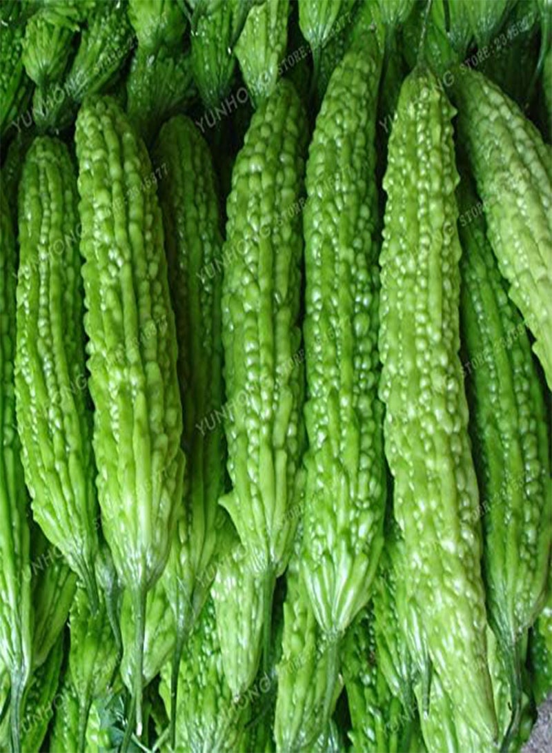 GGOOT 10 Pcs Momordica Charantia Seed Organic Vegetable Seed Bitter Gourd Balsam Apple Bitter Herbs Family Garden - (Color: Mix)  - Image 4