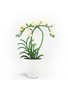ebarza Handmade Decorative Artificial Plant+Planter  - Image 1