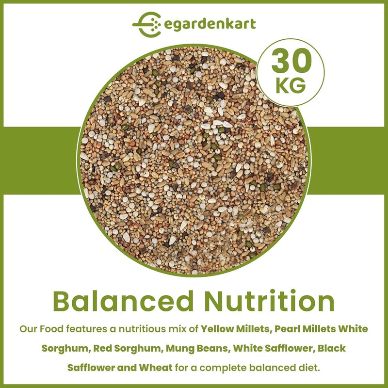 Egardenkart طعام الطيور البرية من إي غاردن كارت 30 كجم - مزيج اقتصادي من بذور الطيور لجميع أنواع الطيور البرية | طعام الطيور للحمام واليمام والميّنة والخرشنة والبلبل والعصفور والهدهد | بذور الطيور في الهواء الطلق (30 كجم، بذور صغيرة) - Image 2