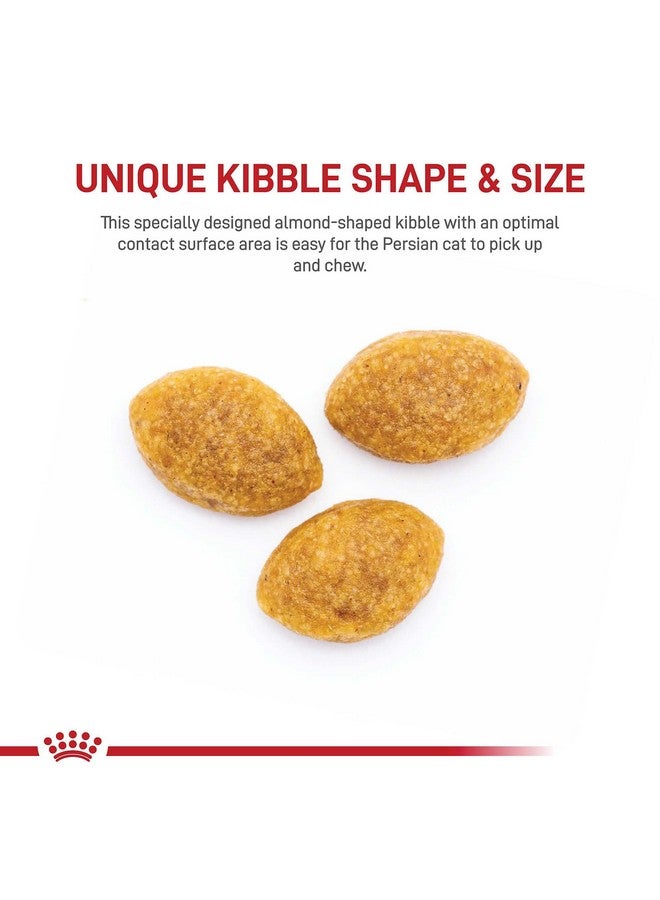 رويال كانين طعام جاف للقطط البالغة من سلالة الفارسية، كيس 7 رطل - Image 2