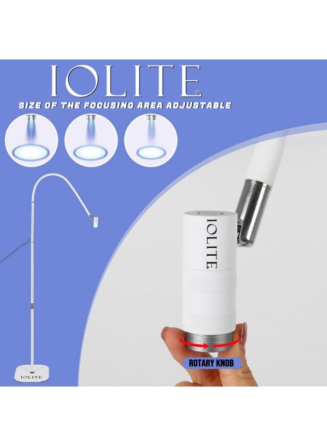 IOLITE مصباح الرموش UV (أبيض) مصباح احترافي لعلاج الرموش UV/LED بدون سلك قابل لإعادة الشحن ضوء UV لتمديد الرموش تجفيف سريع للصمغ تطبيق آمن لفناني الرموش الصالونات Iuvllw - Image 3