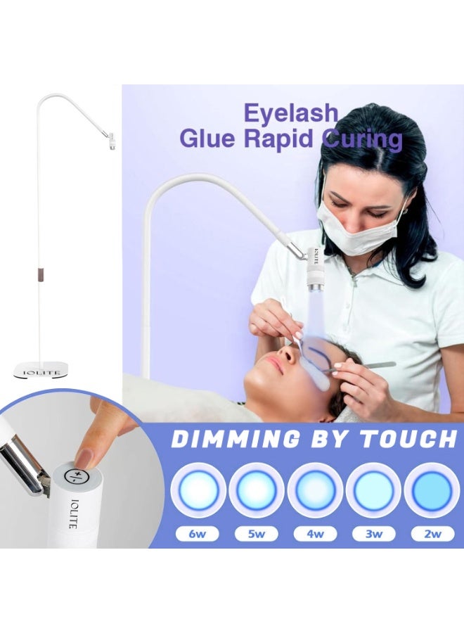 IOLITE مصباح الرموش UV (أبيض) مصباح احترافي لعلاج الرموش UV/LED بدون سلك قابل لإعادة الشحن ضوء UV لتمديد الرموش تجفيف سريع للصمغ تطبيق آمن لفناني الرموش الصالونات Iuvllw - Image 2