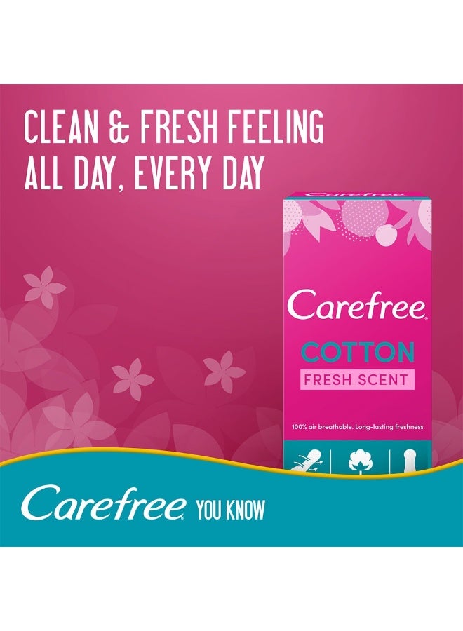 Carefree Cotton Fresh Scent Panty Liners, Pack Of 20's - Image 1
