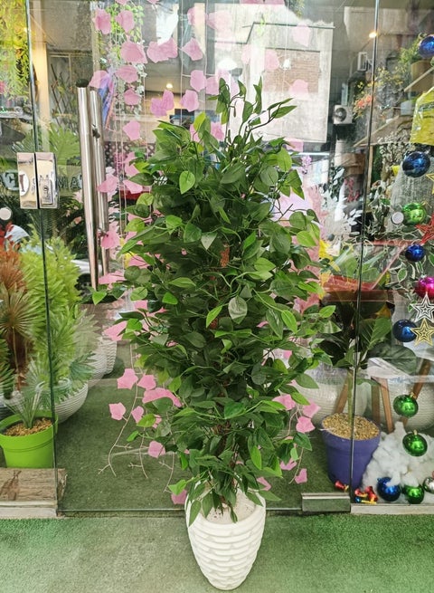 شجره البنجامينا الصناعيه