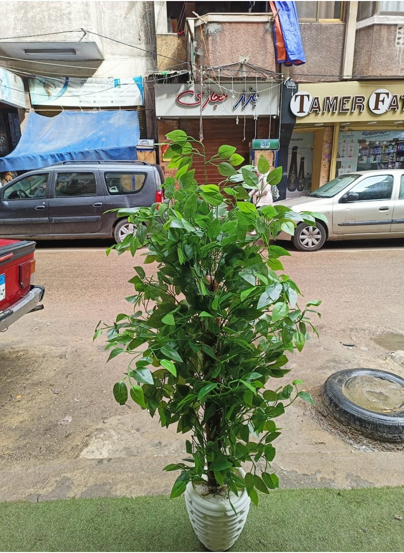 Generic Artificial benjamina tree  - Image 3