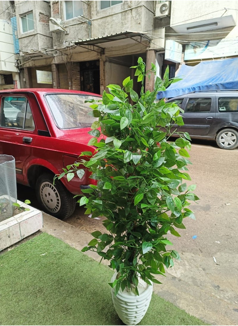 Generic Artificial benjamina tree  - Image 4