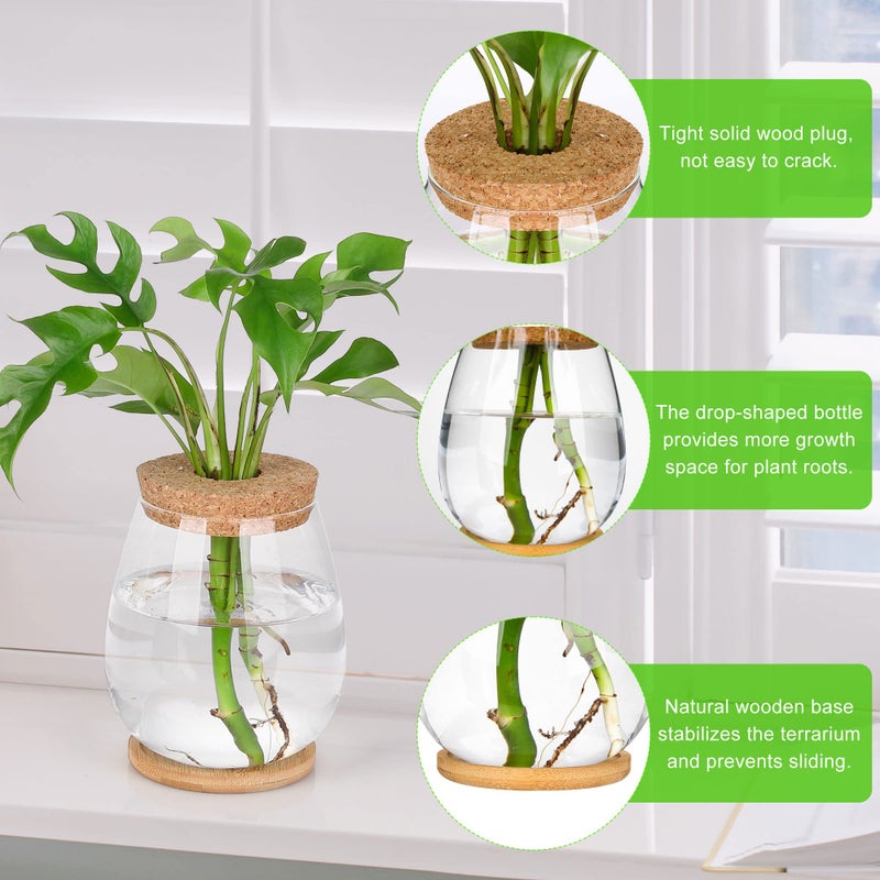 onepeng 2 Pcs Propagation Vases, Tabletop Plant Terrarium for Propagating Hydroponic, Glass Terrarium Vase Jars, Home Kitchen Decorations and Gifts for Plant Lovers - Image 3