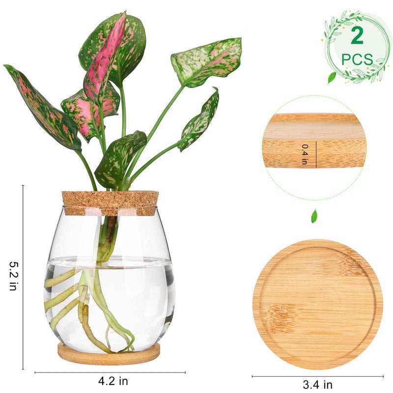 onepeng 2 Pcs Propagation Vases, Tabletop Plant Terrarium for Propagating Hydroponic, Glass Terrarium Vase Jars, Home Kitchen Decorations and Gifts for Plant Lovers - Image 2