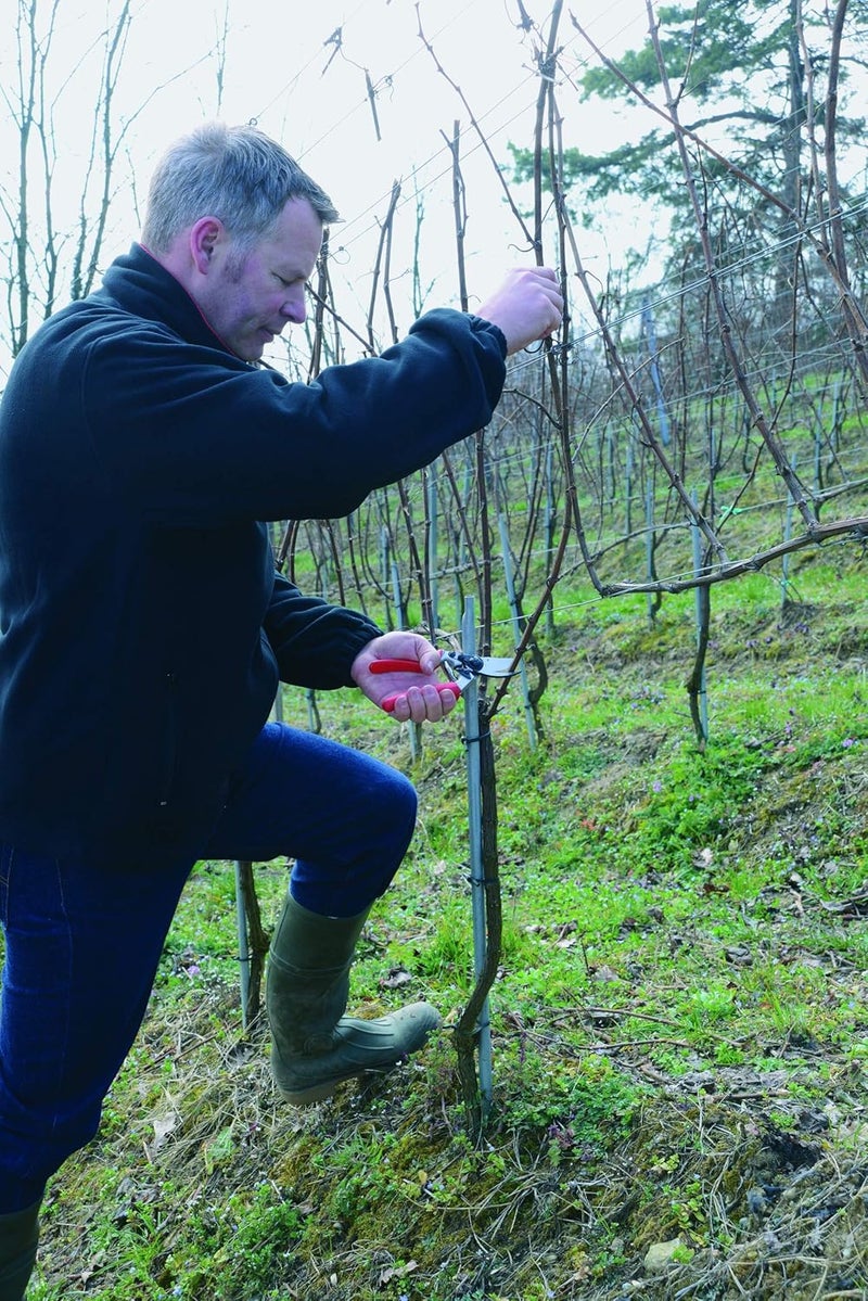 FELCO Model 4 Standard Secateurs - Image 3