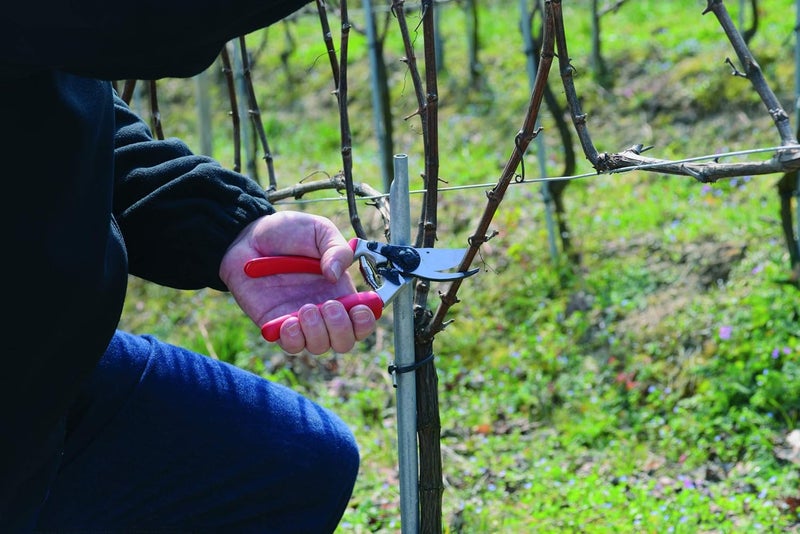 FELCO Model 4 Standard Secateurs - Image 4