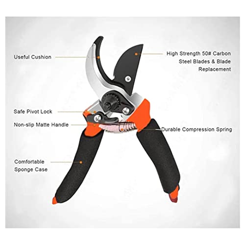 Boniry 8 Inch Heavy Duty Plant Cutter For Home Garden Scissors | Plant Branch Cutter For Tree | Garden Tools For Home Gardening Scissors | Prunning Branch Cutter (Garden Cutter) - Image 5