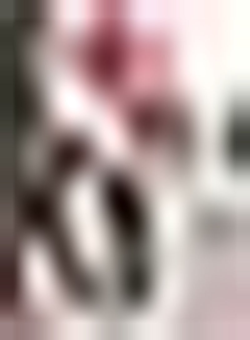 GGOOT 2pcs Roze Amaryllis bollen Amaryllis bloem exotische mooie bloemen bloeiende formaat BOL thuis Pot Decor mooi Van kleur en heeft EEN Hoge sierwaarde - Image 2