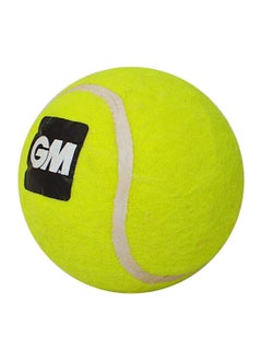 First Heavy Synthetic Tennis Cricket Ball (Yellow) - pzsku/ZC13562FD3EDCD28C14FBZ/45/_/1698909434/47e6d0e8-464f-49b7-a649-a242e3193f05