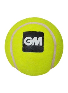 First Heavy Synthetic Tennis Cricket Ball (Yellow) - pzsku/ZC13562FD3EDCD28C14FBZ/45/_/1698909434/6c6e1557-1bc7-430e-8c9d-883e59888cb4