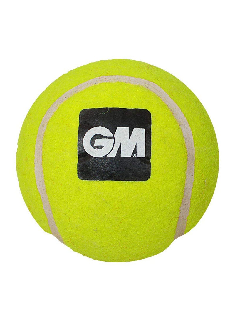 GM كرة التنس الكريكيت الاصطناعية الثقيلة الأولى (أصفر) - Image 1