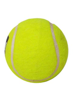 First Heavy Synthetic Tennis Cricket Ball (Yellow) - pzsku/ZC13562FD3EDCD28C14FBZ/45/_/1698909435/605bfc22-aad8-4d08-8d83-9f0b29acca4d