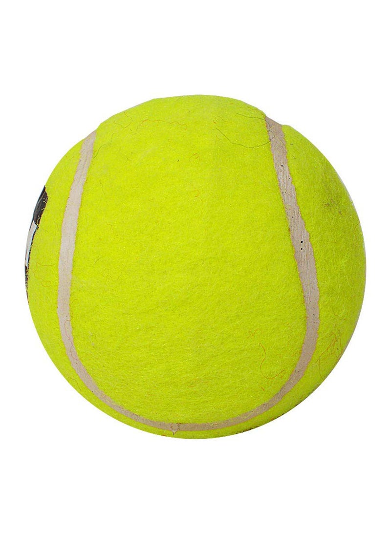GM كرة التنس الكريكيت الاصطناعية الثقيلة الأولى (أصفر) - Image 3