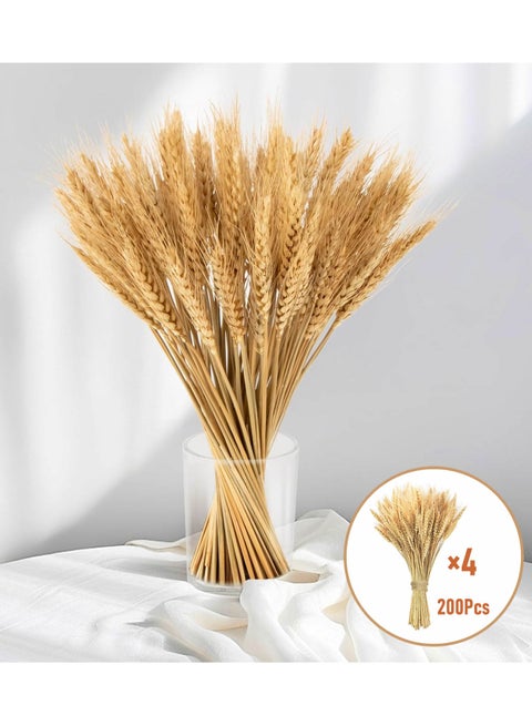 200Pcs Stems Natural Dried Wheat Stalks, 18 inches Dried Wheat Grass Bundle Wheat Sheaves Wreath for Flowers Arrangement Wedding Table Centerpieces Home Kitchen Office DIY Party Décor