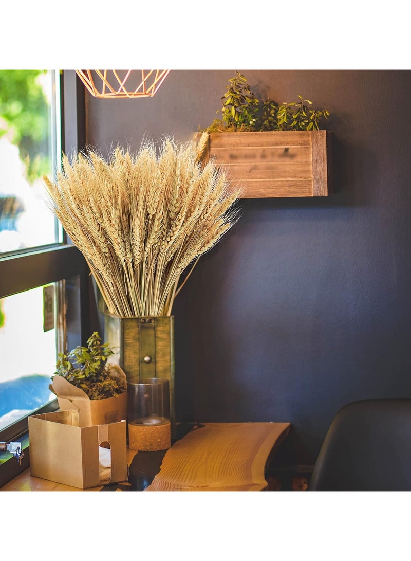 200Pcs Stems Natural Dried Wheat Stalks, 18 inches Dried Wheat Grass Bundle Wheat Sheaves Wreath for Flowers Arrangement Wedding Table Centerpieces Home Kitchen Office DIY Party Décor - Image 2