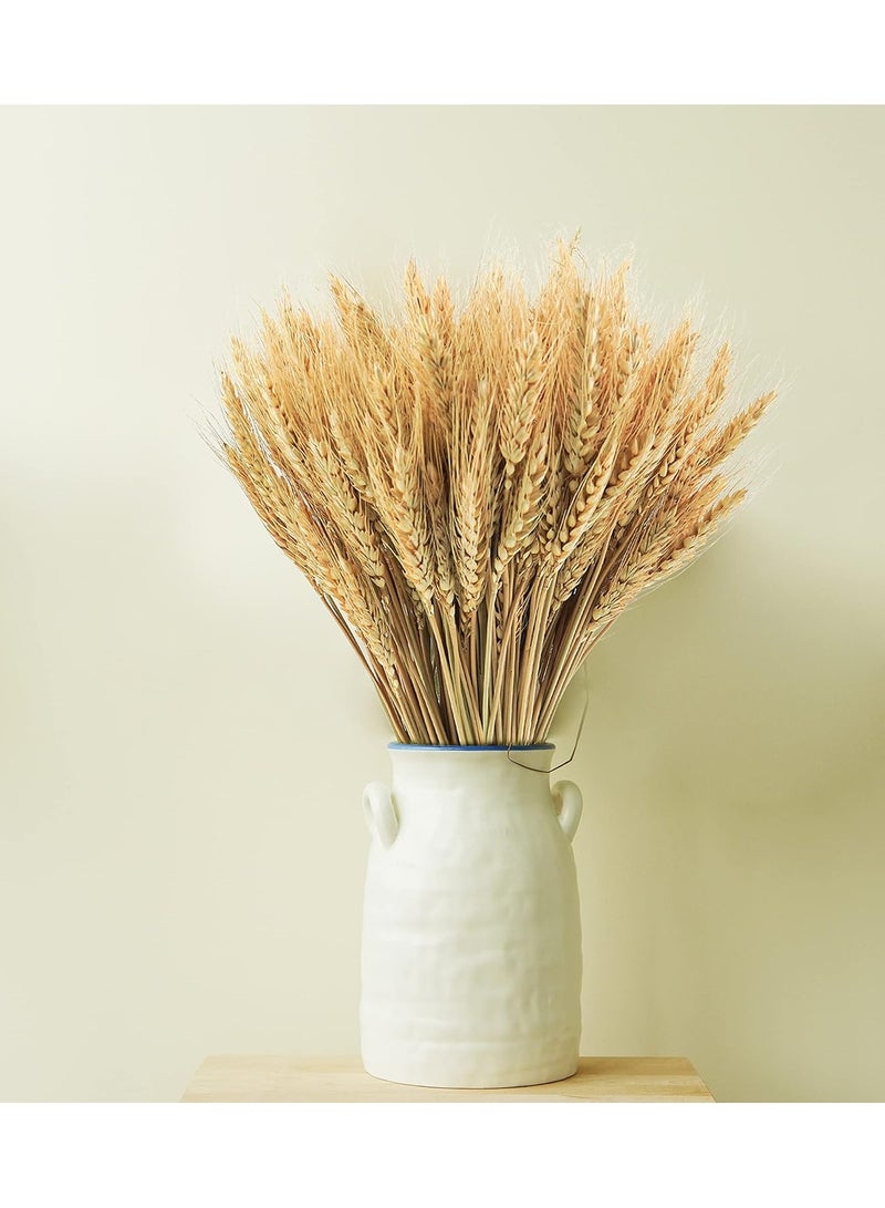 200Pcs Stems Natural Dried Wheat Stalks, 18 inches Dried Wheat Grass Bundle Wheat Sheaves Wreath for Flowers Arrangement Wedding Table Centerpieces Home Kitchen Office DIY Party Décor - Image 3
