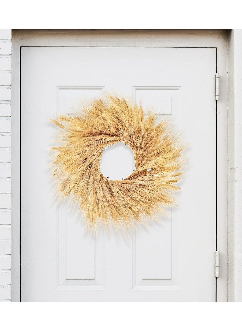 200Pcs Stems Natural Dried Wheat Stalks, 18 inches Dried Wheat Grass Bundle Wheat Sheaves Wreath for Flowers Arrangement Wedding Table Centerpieces Home Kitchen Office DIY Party Décor - Image 4