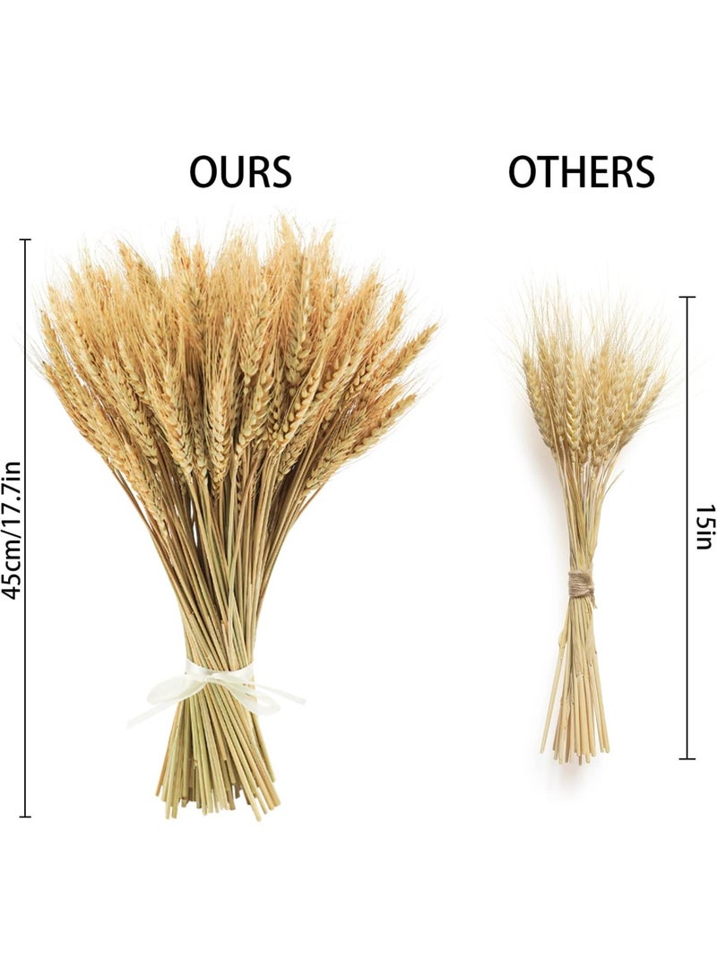 200Pcs Stems Natural Dried Wheat Stalks, 18 inches Dried Wheat Grass Bundle Wheat Sheaves Wreath for Flowers Arrangement Wedding Table Centerpieces Home Kitchen Office DIY Party Décor - Image 5