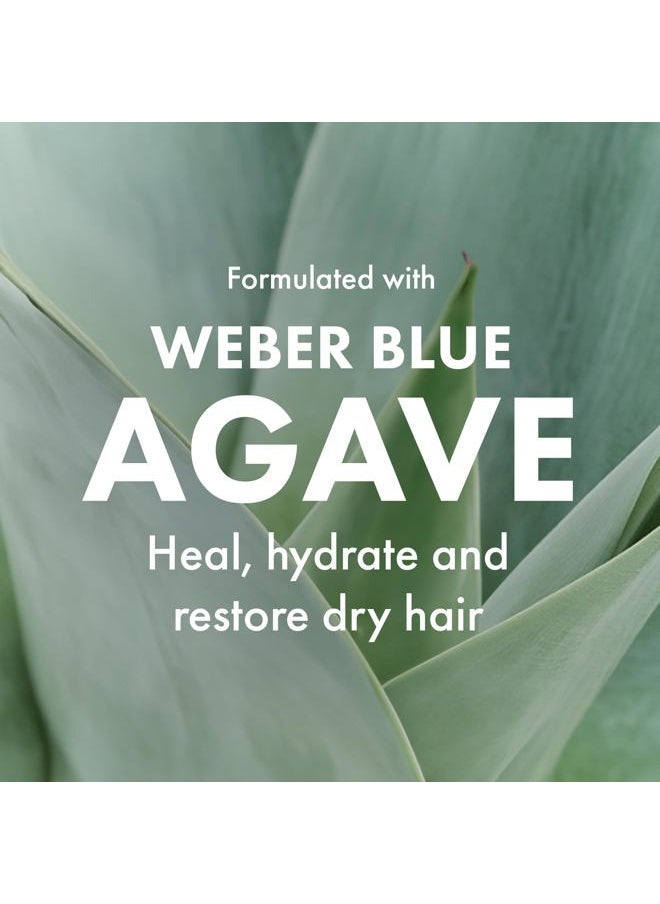 Agave HEALING OIL - Agave Smoothing Conditioner Lightweight Moisture Infusion & Frizz Control, Sulfate-Free, Color-Safe, 8.5 fl oz - Image 1