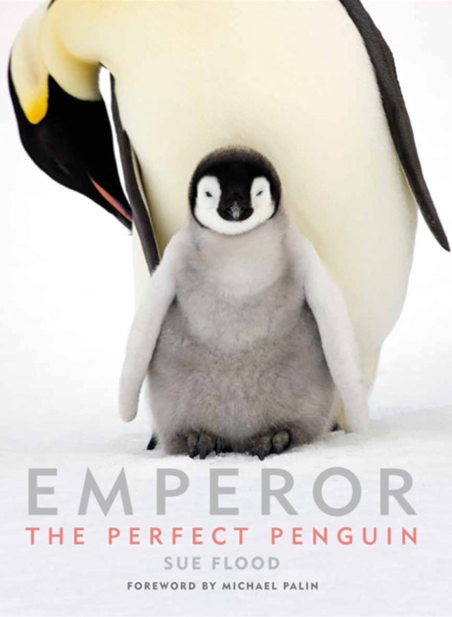 Emperor : The Perfect Penguin 