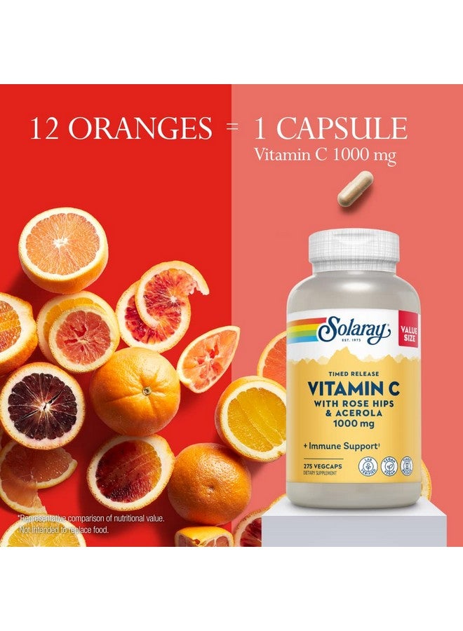SOLARAY Vitamin C 1000mg Timed Release Capsules with Rose HIPS & Acerola Bioflavonoids, Two-Stage for High Absorption & All Day Immune Function Support, 60 Day Guarantee, 275 Servings, 275 VegCaps - Image 4