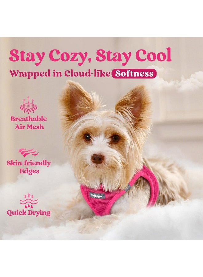رابيتجو تسخير للكلاب الصغيرة من rabbitgoo، سترة شبكية ناعمة سهلة الارتداء للجراء، سهلة المشي مع مشبك أمان، تسخير عاكس قابل للتهوية للحيوانات الأليفة للكلاب الصغيرة الحجم، لون أحمر وردي متوسط - Image 2