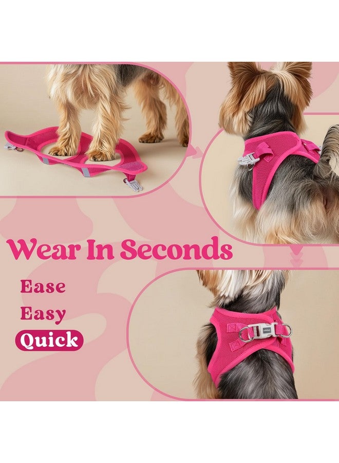 رابيتجو تسخير للكلاب الصغيرة من rabbitgoo، سترة شبكية ناعمة سهلة الارتداء للجراء، سهلة المشي مع مشبك أمان، تسخير عاكس قابل للتهوية للحيوانات الأليفة للكلاب الصغيرة الحجم، لون أحمر وردي متوسط - Image 4