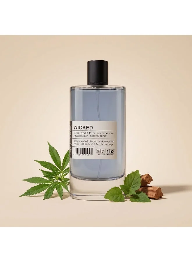 AMD Perfumes  Wicked By AMD Perfumes Men and Women Fragrance EDP 100ml  | Best Price UAE
