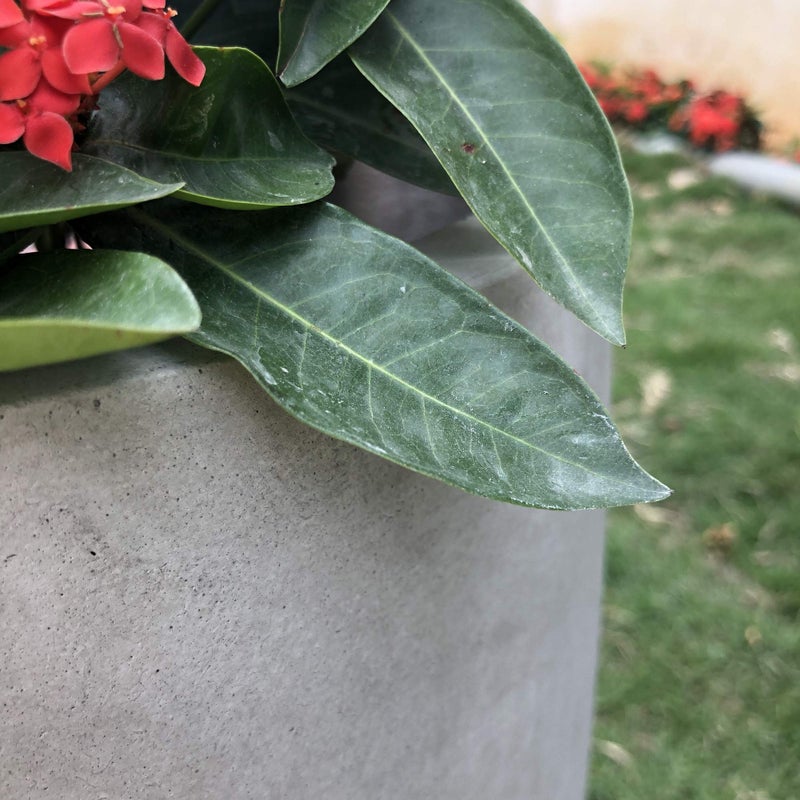 Kante 18 Inch Dia Round Concrete Planter, Indoor Outdoor Large Plant Pot with Drainage Hole and Rubber Plug for Home Patio Garden, Weathered Concrete - Image 5