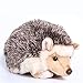 TAMMYFLYFLY Lifelike Hedgehog Plush Stuffed Animal Toy Desert Hedgehog Cute Animal Model 6 inches 6 inPack of 1 - Image 3