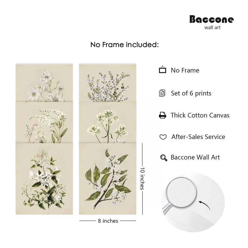 Baccone Vintage Botanical Wall Art Set of 6 Neutral Floral Canvas Wall Decor Wildflower Wall Art Watercolor Flower Prints Botanical Poster Minimalist Plant Pictures for Bedroom Living Room 8x10 Inch Unframed - Image 2