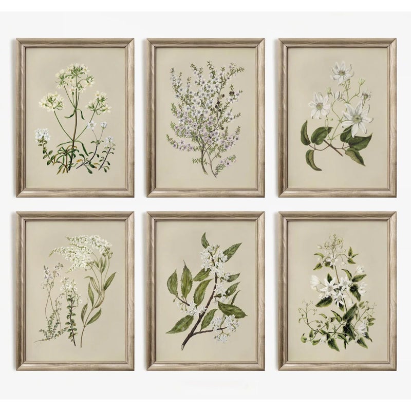 Baccone Vintage Botanical Wall Art Set of 6 Neutral Floral Canvas Wall Decor Wildflower Wall Art Watercolor Flower Prints Botanical Poster Minimalist Plant Pictures for Bedroom Living Room 8x10 Inch Unframed - Image 1