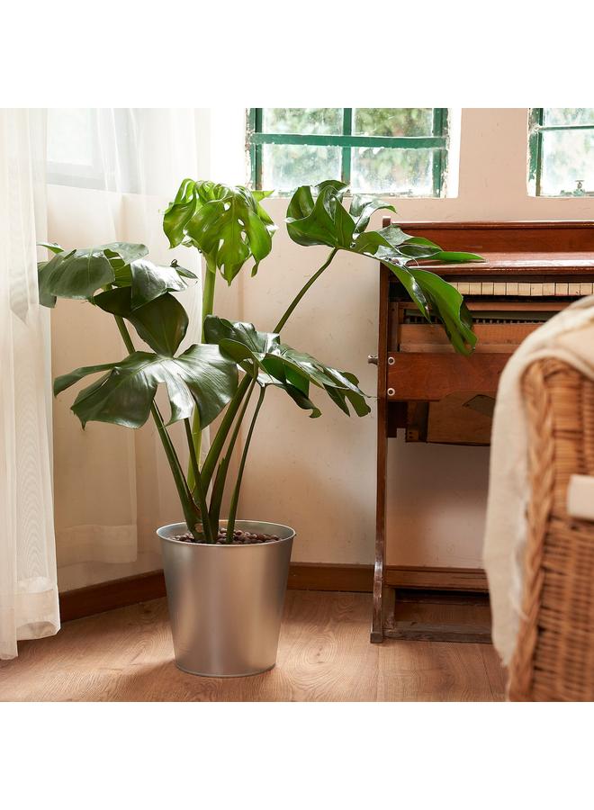 زبون وعاء نباتات، داخلي/خارجي/مجلفن، 24 سم - Image 2