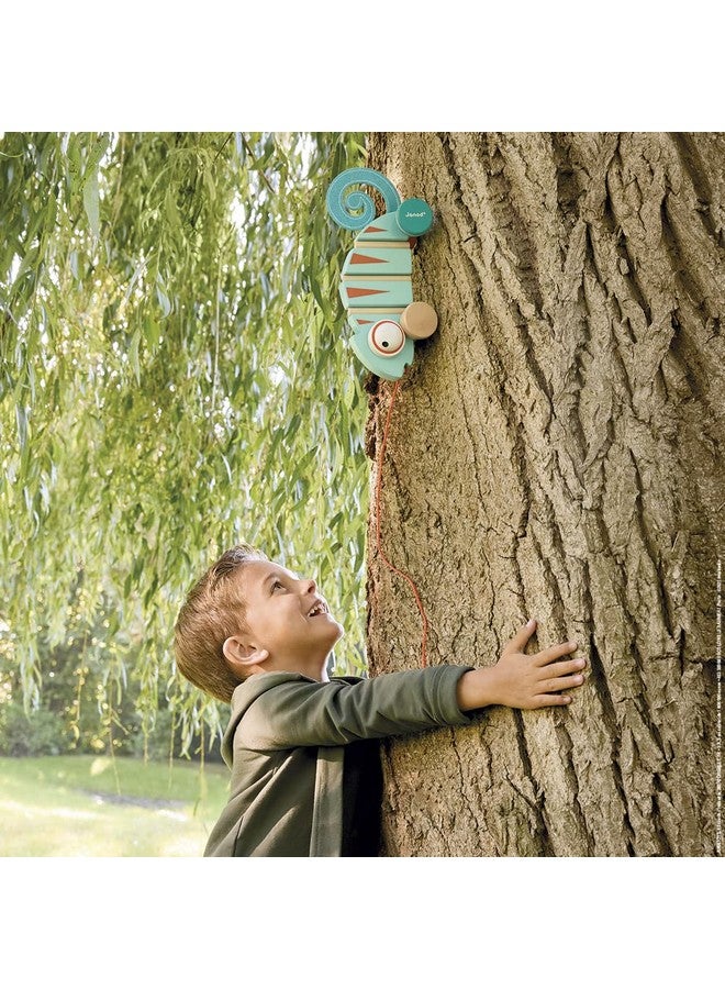 Janod - Tropik Pull-Along Chameleon - Wooden Early-Learning Toy - Silent Wheels - Educational Walking and Balancing Toy - Water-Based Paint - 1 Year + J08264, Green - Image 5