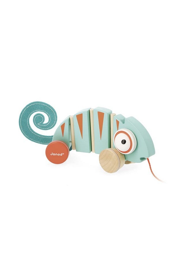 Janod - Tropik Pull-Along Chameleon - Wooden Early-Learning Toy - Silent Wheels - Educational Walking and Balancing Toy - Water-Based Paint - 1 Year + J08264, Green - Image 1