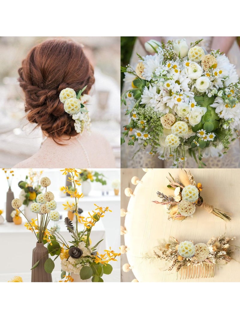 KASTWAVE 30 Pieces Natural Dried Craspedia Billy Balls Flowers, 17” Dried White Flowers Buttons Bouquet for Vase Floral Arrangements Wedding Table Centerpieces Party DIY Home Decor, Tree Decoration  - Image 5